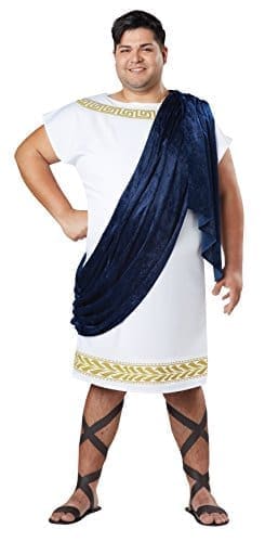 Adult Grecian Toga Plus Size Costume Roman and Greek Costumes The Party Place