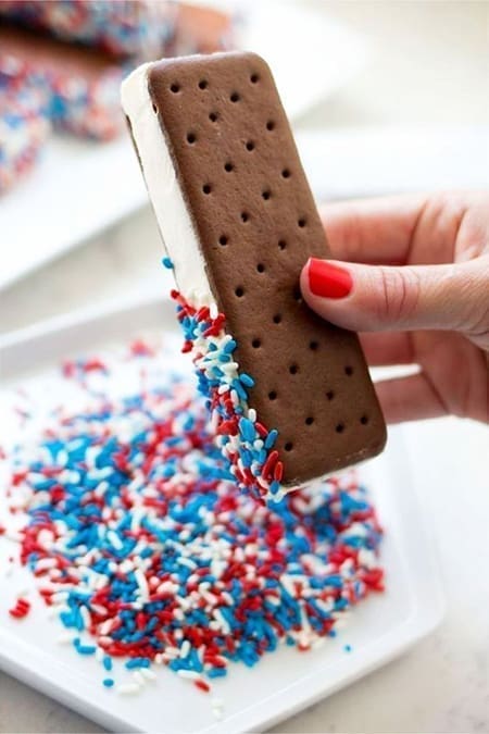 ice cream sammy