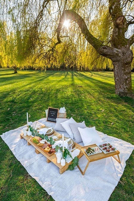 picnic header
