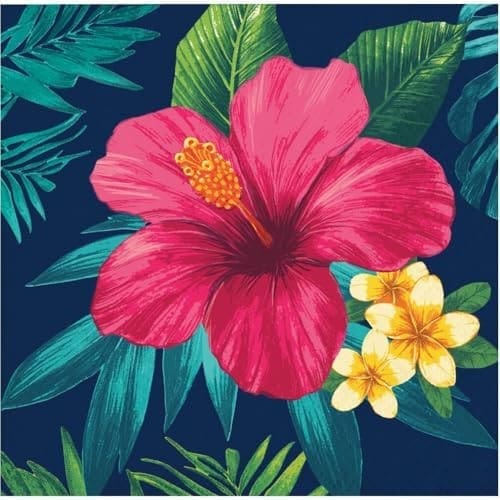 374060 TROPIC TIME BN