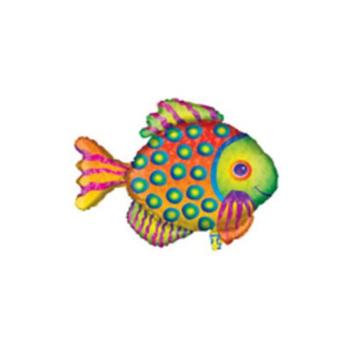 725173 Fish