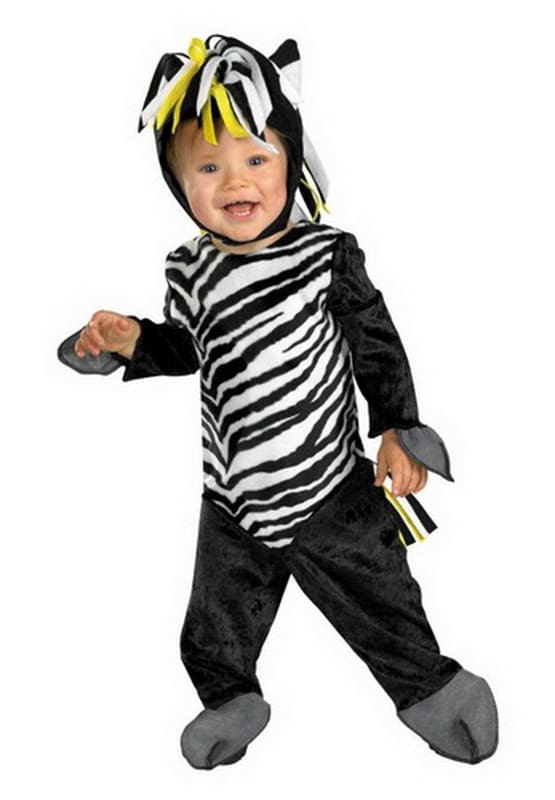 50029W ZANY ZEBRA