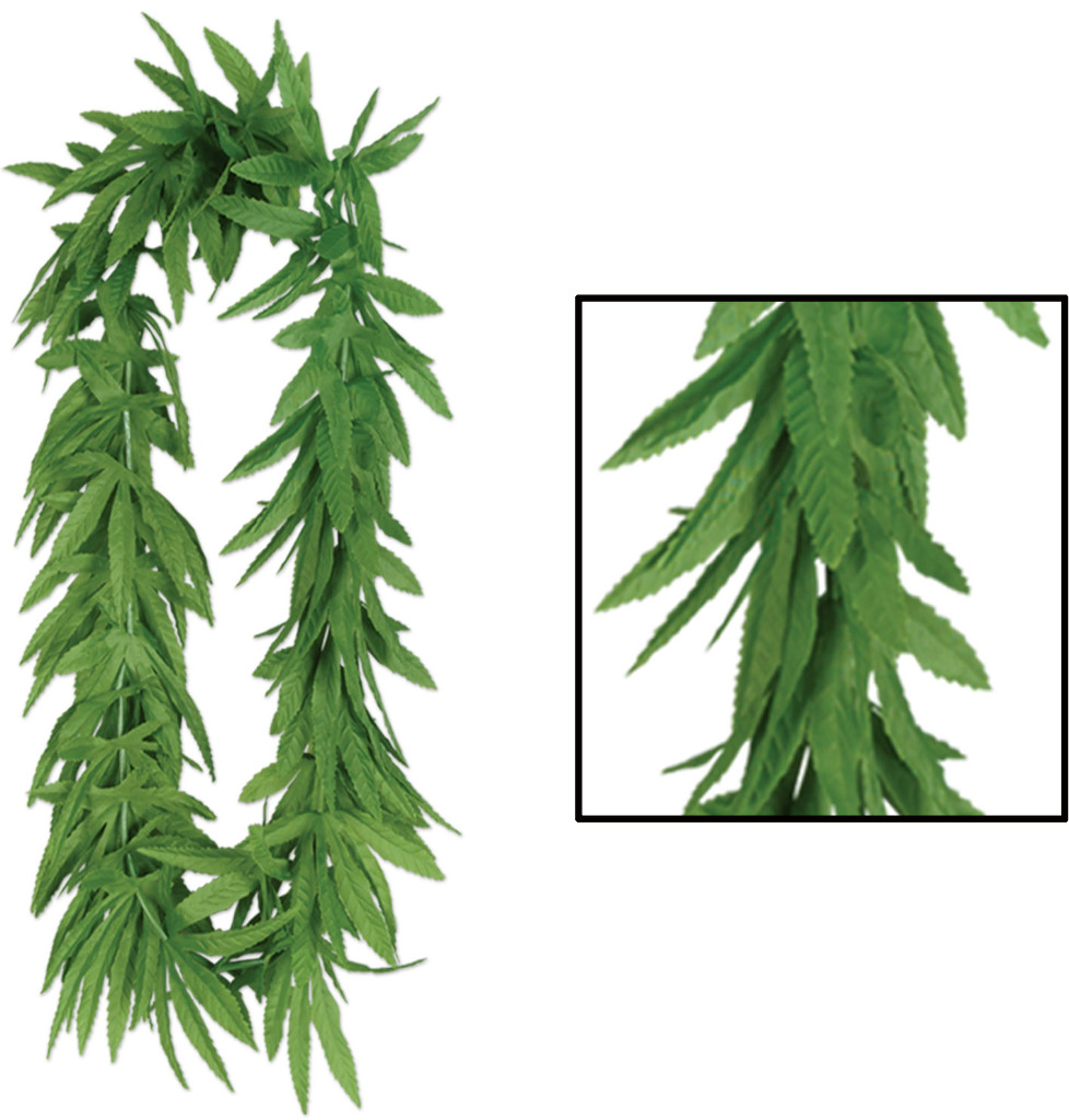 50455 FERN LEI