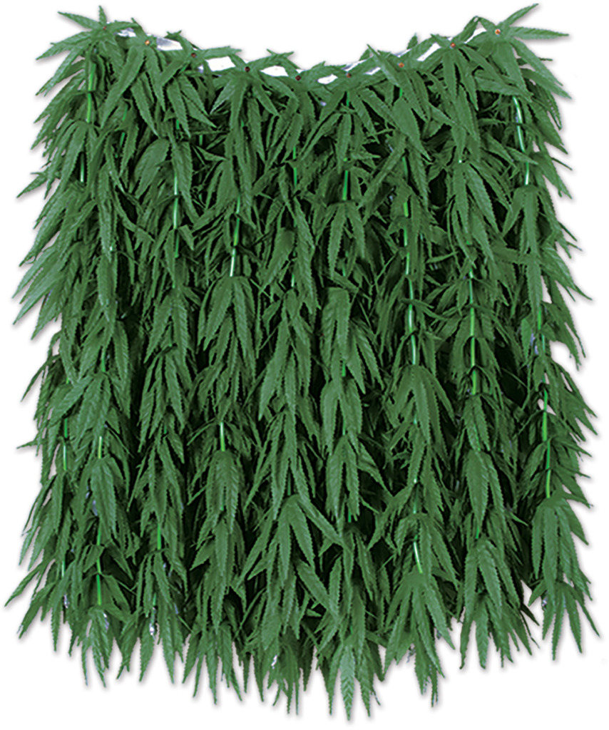 50456 FERN HULA SKIRT