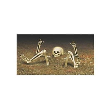 243611 LIGHT UP YARD SKELETON FC