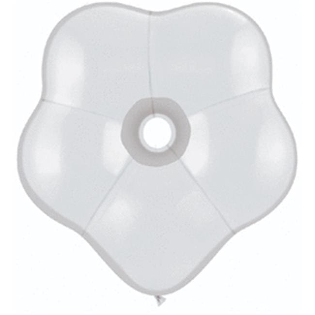 816230 Blossom White