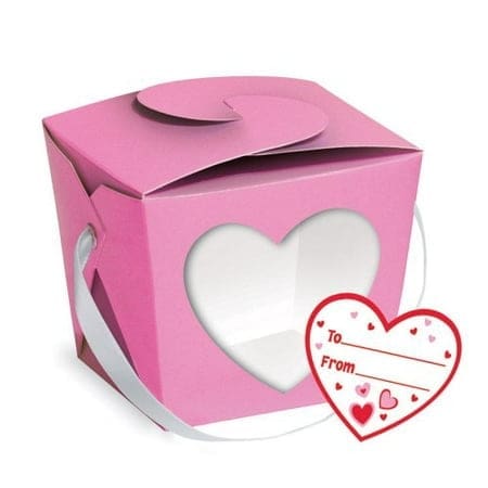 53161 PAILS. PINT PINK/RED ASST. W/HEART