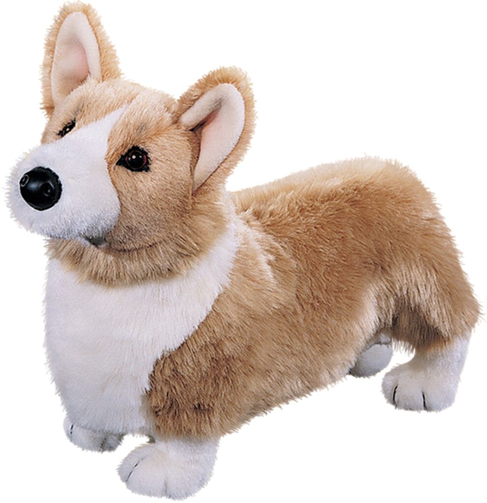 332 chadwick corgi