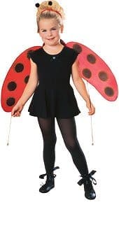 13691 LADYBUG ACCE