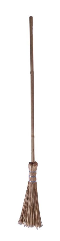966 WITCH BROOM