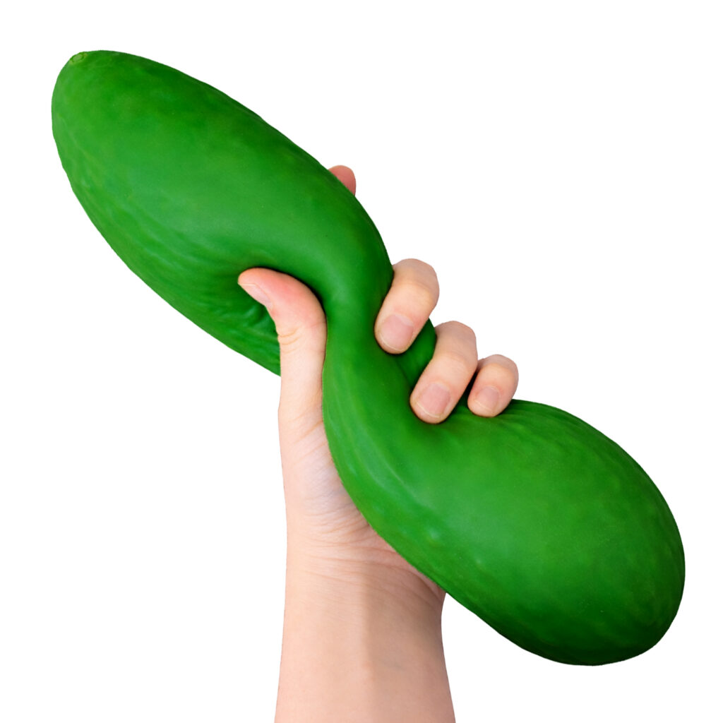 1207 BIG SQUIJ CUCUMBER